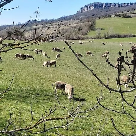 Chateau Medieval Entre Causse Et Mer